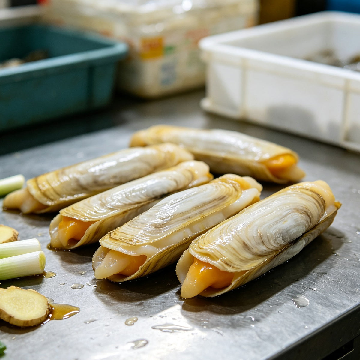 Fresh King Razor Clams